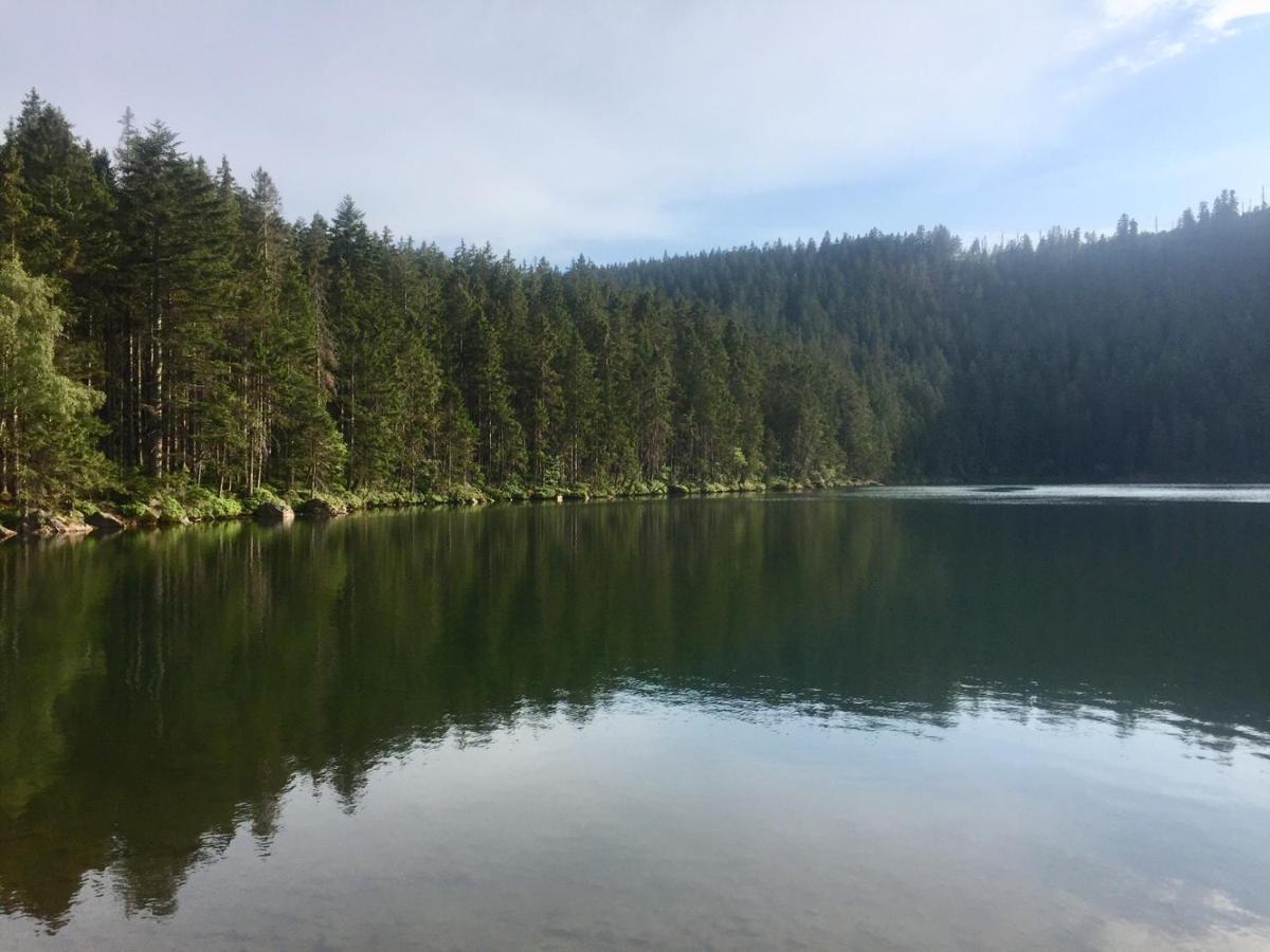Apartman “U Nas V Podkrovi“ V Rezidenci Klostermann, Zelezna Ruda 24 Exterior foto