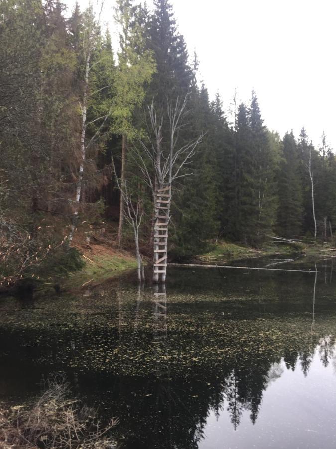 Apartman “U Nas V Podkrovi“ V Rezidenci Klostermann, Zelezna Ruda 24 Exterior foto