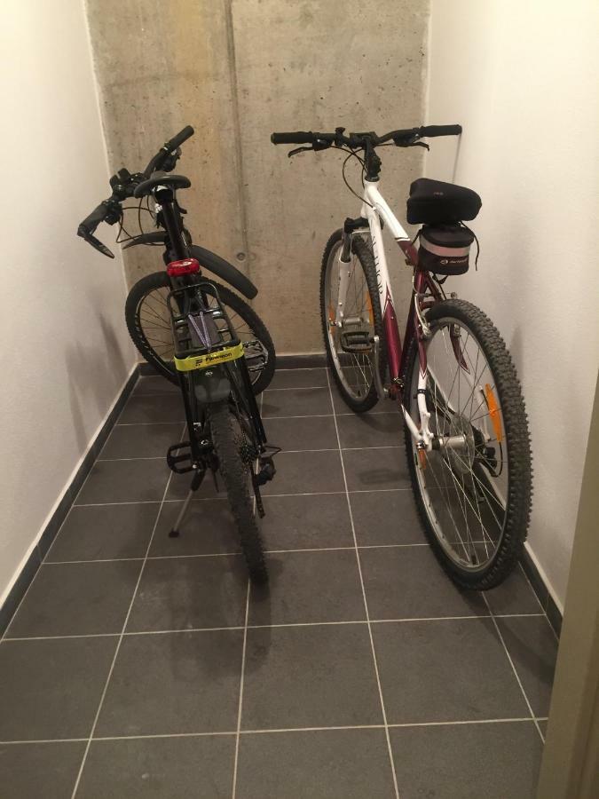 Apartman “U Nas V Podkrovi“ V Rezidenci Klostermann, Zelezna Ruda 24 Exterior foto